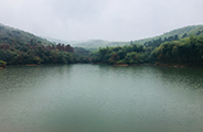 诺狮规划设计团队赴浙江湖州“莫干山”进行项目实地考察及洽谈